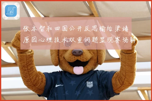 张本智和回国公开反思输给梁靖崑原因心理技术双重问题显现赛场解读：最新赛事动态与深度分析