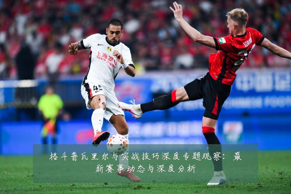 格斗普瓦里尔与实战技巧深度专题观察：最新赛事动态与深度分析